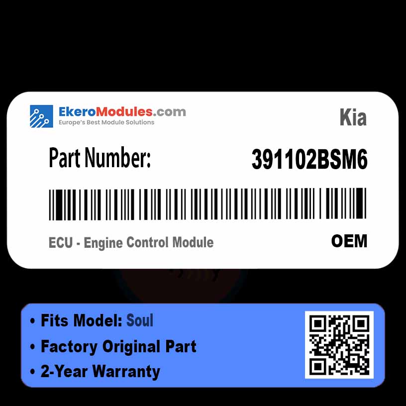 391102BSM6 ECU - Engine Control Module | Kia Soul | Genuine OEM Part