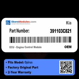 391103C821 ECU - Engine Control Module | Kia Opirus | Genuine OEM Part