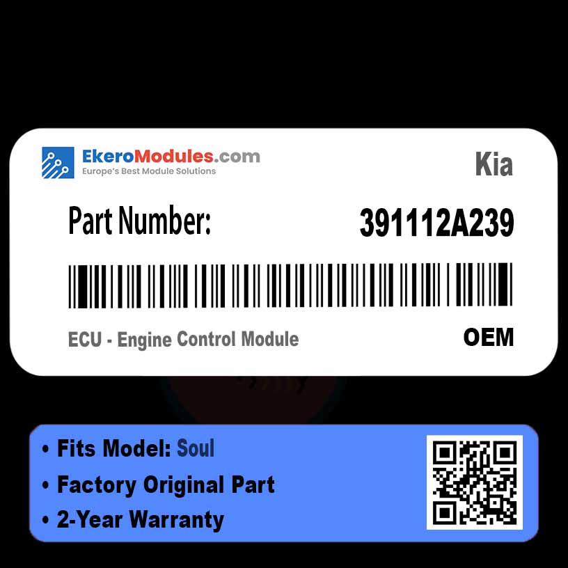 391112A239 ECU - Engine Control Module | Kia Soul | Genuine OEM Part