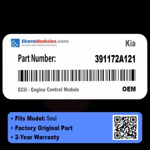 391172A121 ECU - Engine Control Module | Kia Soul | Genuine OEM Part