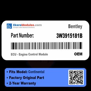 3W3915181B ECU - Engine Control Module | Bentley Continental | Genuine OEM Part